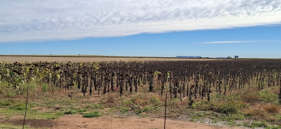 Commercial Property for Sale in Bloemfontein Rural Free State